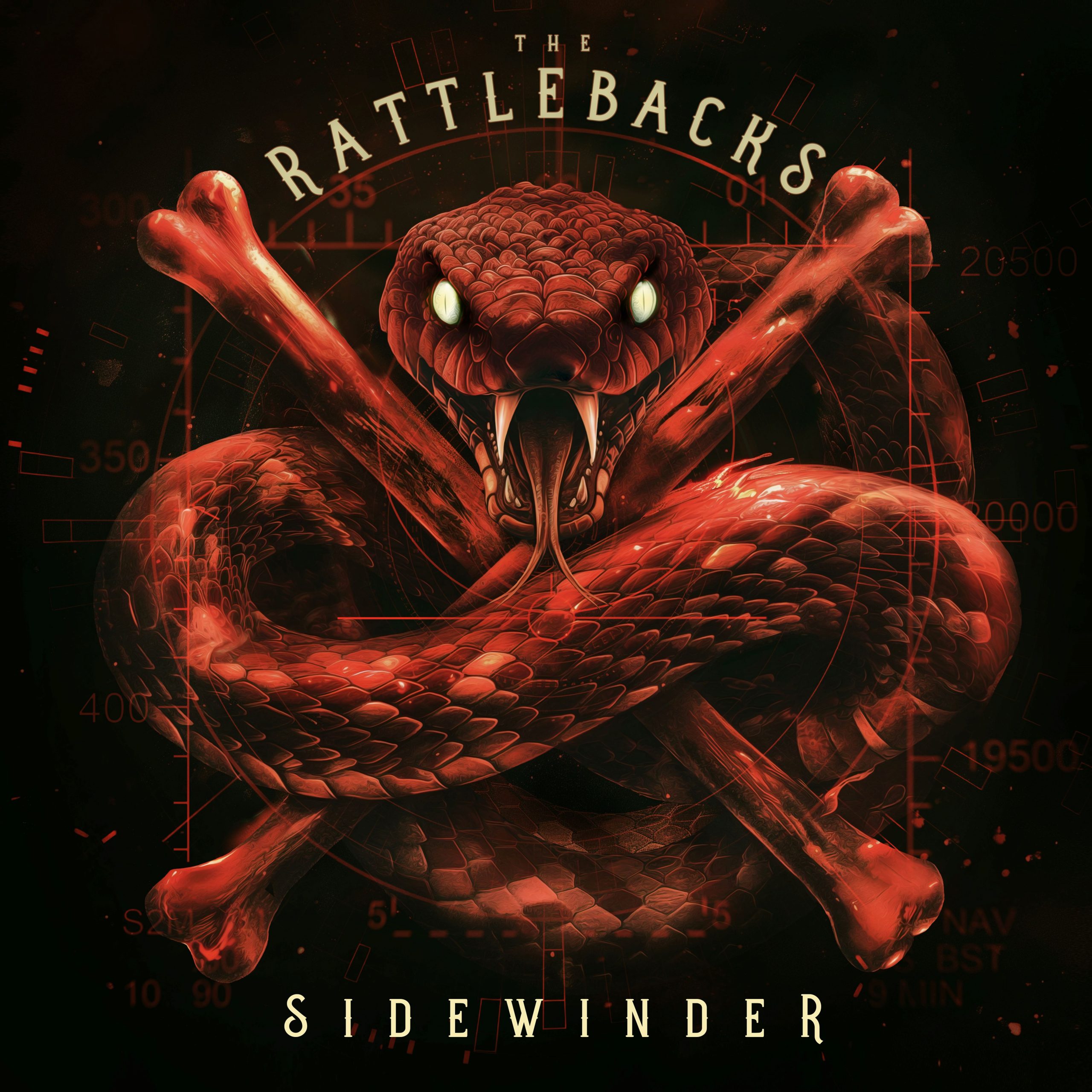 The Rattlebacks Album Cover