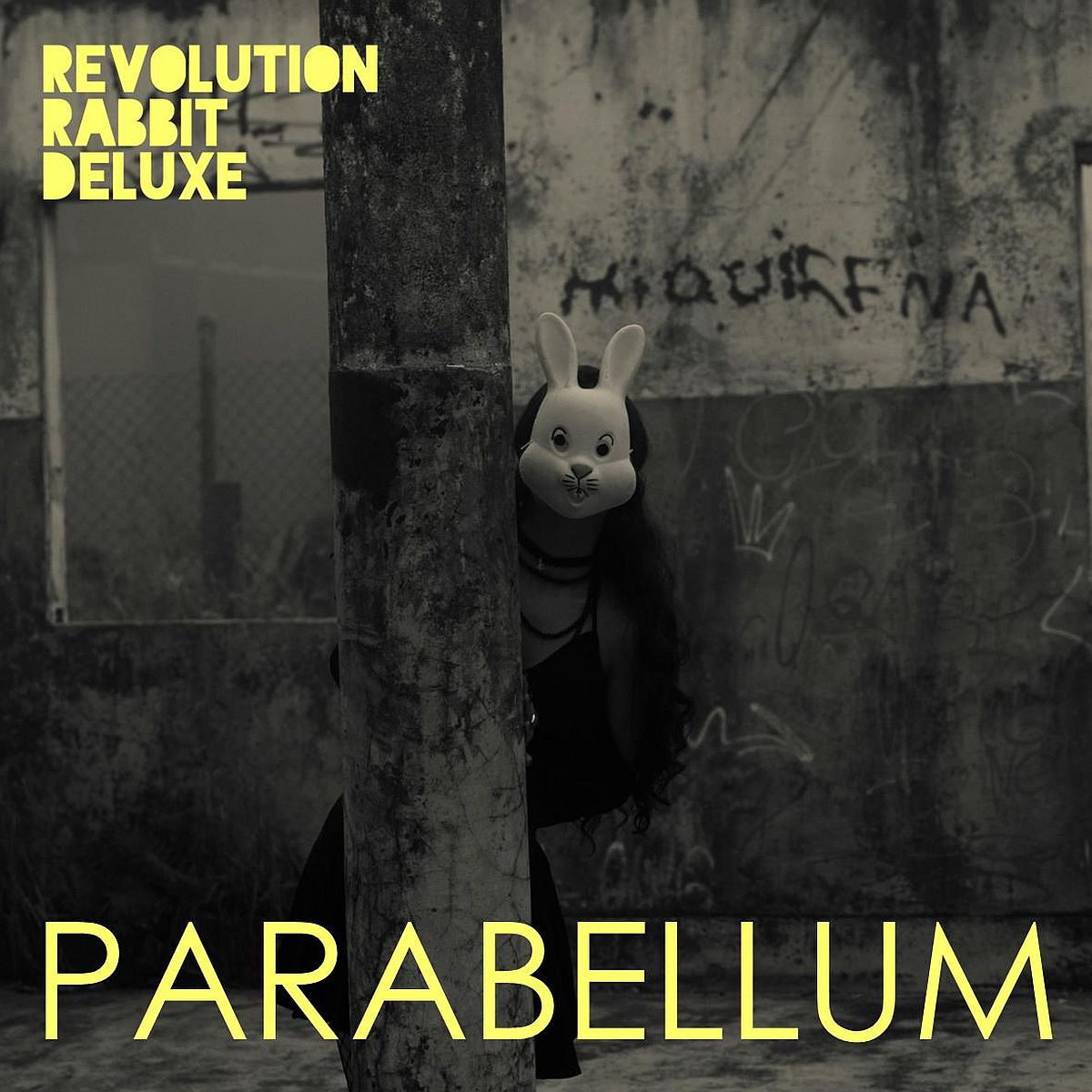 Revolution Rabbit Deluxe Cover Artwork